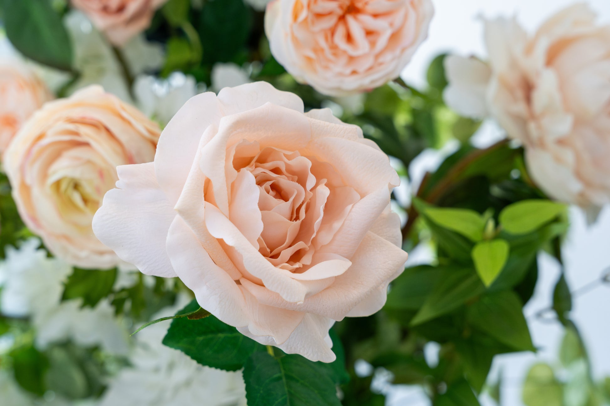 Rent Wedding Pillars Portland Vancouver