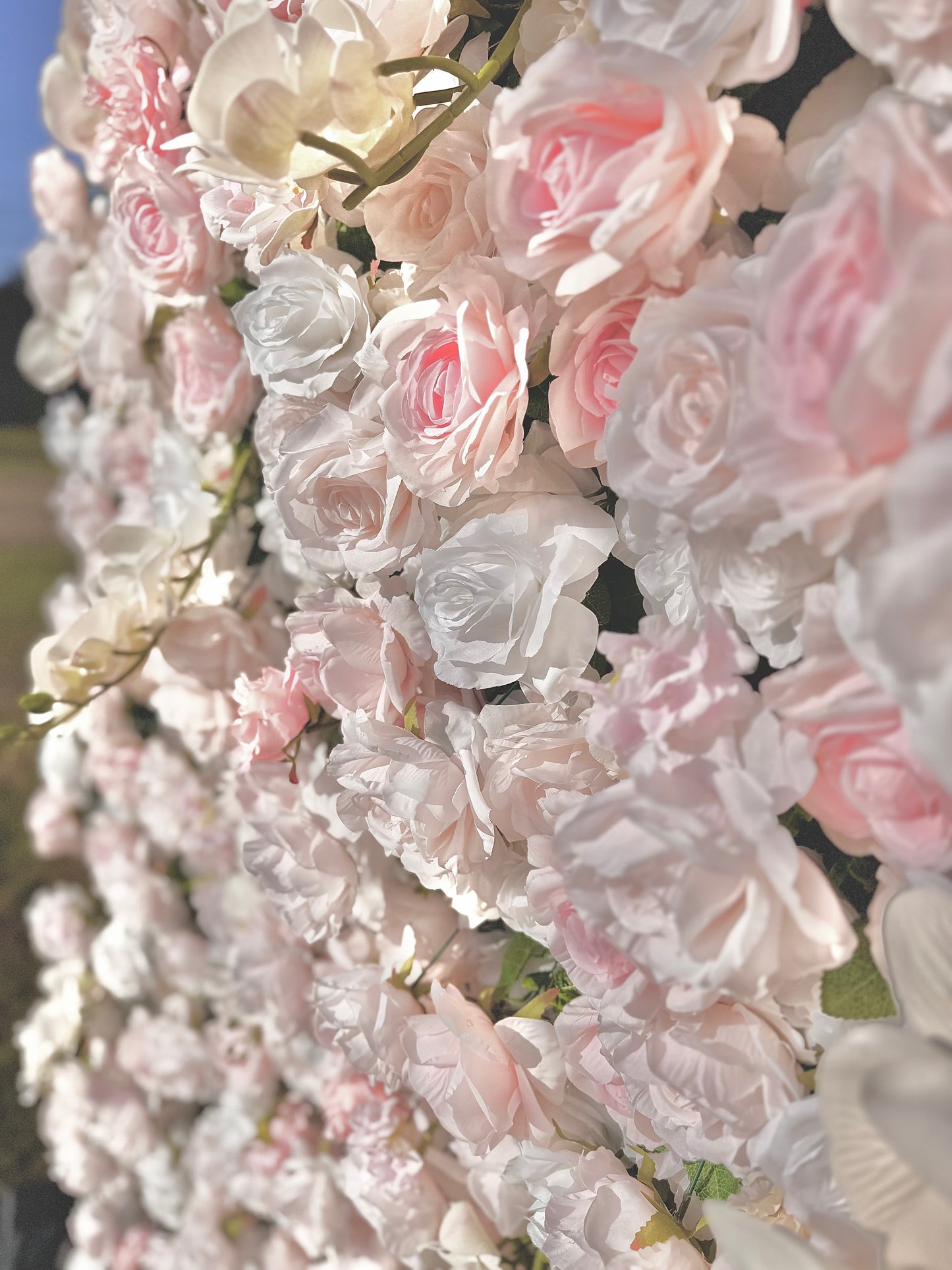 Pink and white rose flower wall for rent in Portland